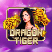 Dragon Tiger color game